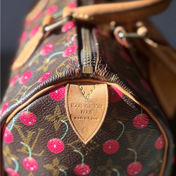 Louis Vuitton Cherry Speedy - Picture 9 of 12
